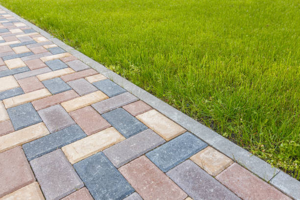 Best Driveway Paving Near Me  in Lynnwood, WA